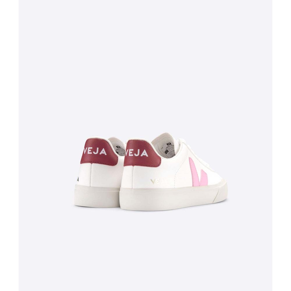 Veja CAMPO CHROMEFREE Men's Low Tops Sneakers White/Pink | CA 193WNB